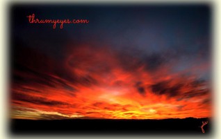 Magnificent Sky