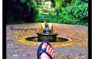 Relaxing in Allerton Garden