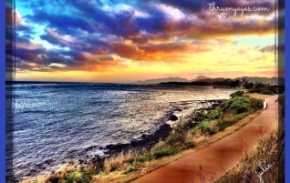 Along the Coast