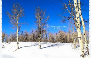 Clear Winter’s Day
