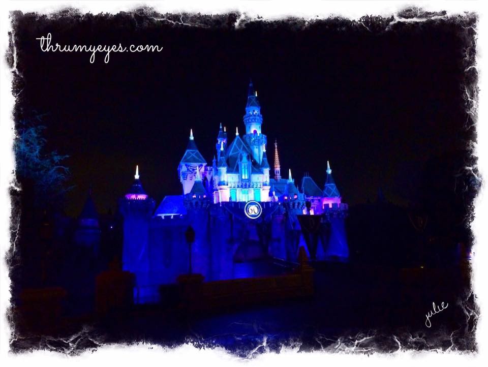 DisneylandNight