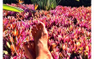 Enjoying the Flowers
