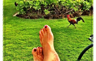 Feet with Rooster