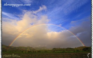 A Full Rainbow