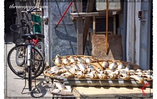 Fish Market