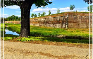 Wall of Lucca