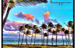 Windy Beach