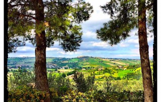 Beautiful Countryside