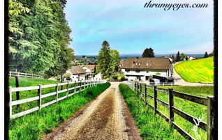 Gorgeous Country
