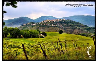 Italian Countryside