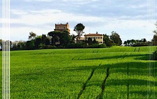 Italian Farmlands