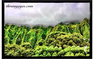 Hawaiian Mountains