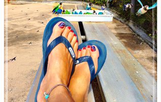 Sea Life Park – Birds