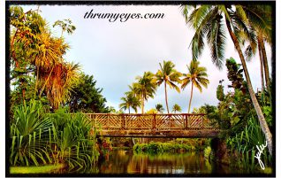 Polynesian Cultural Center