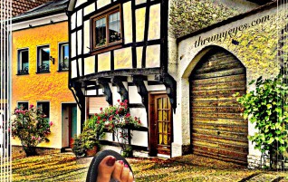 Cool Home With Roses