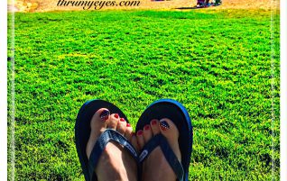 On The Lawn