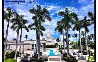 Surrounded by Palm Trees