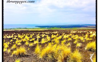 Lava Fields