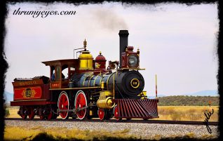 Golden Spike