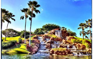 Beautiful Palms & Waterfall