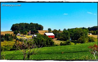 Countryside