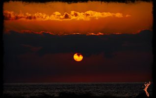 Sun Setting On The Pacific