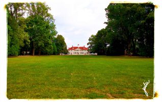 Mount Vernon