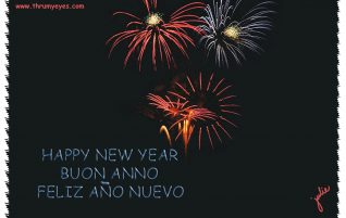HAPPY NEW YEAR 2017
