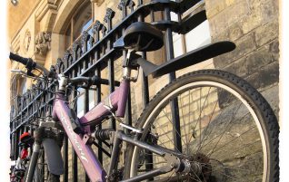 Purple Bike