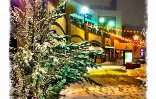 Snowy Night