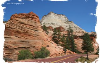 Road Thru Canyon