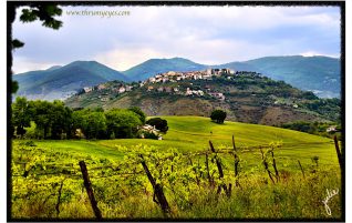 Countryside