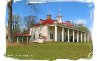 Mount Vernon