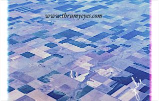 Flying Over Farmlands