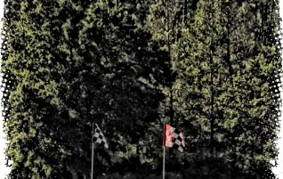 Lots of Golf