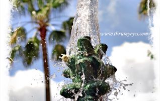 Pineapple  Fountain