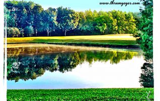 Reflection On The Lake