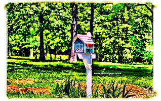 Little Mailbox