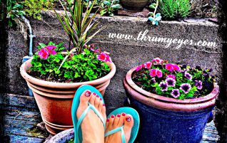 Mary’s Garden
