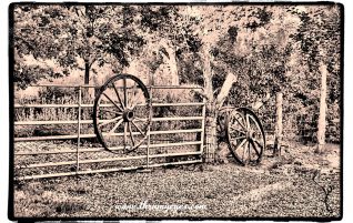 Wagon Wheels