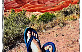 Painted Desert