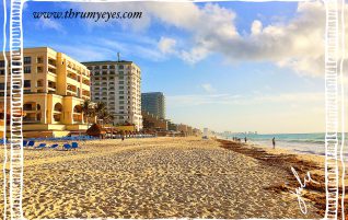 The Beach