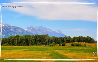 Grand Tetons
