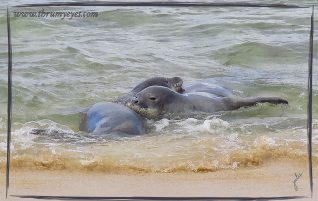 Playing Together