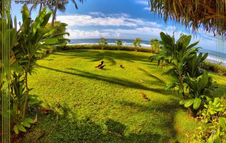 Peaceful View