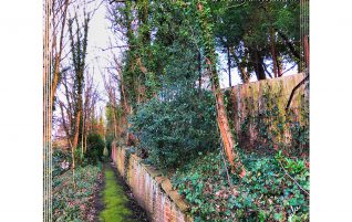Walk