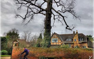 Bike, Wall, Tree and House