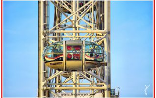 Capsule