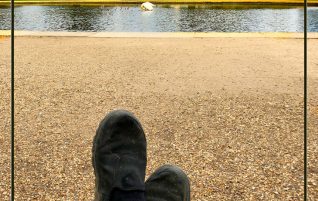 Watching Swans