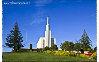 Hamilton New Zealand Temple